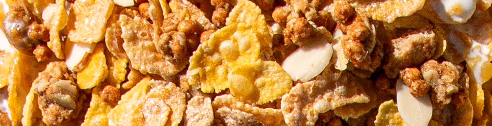 Honey Bunches of Oats Protein Honey Almond cereal pieces