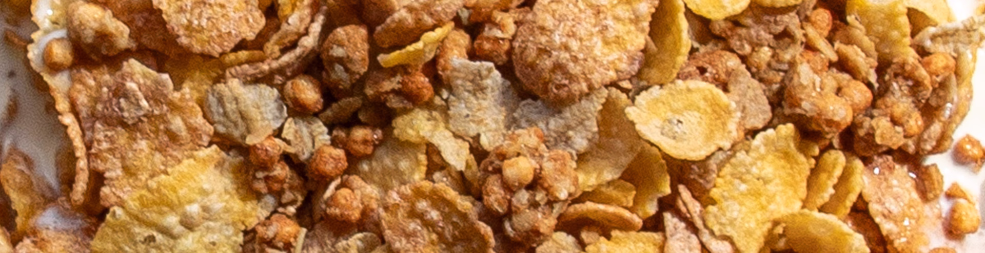 Honey Bunches of Oats Protein Cinnamon cereal pieces