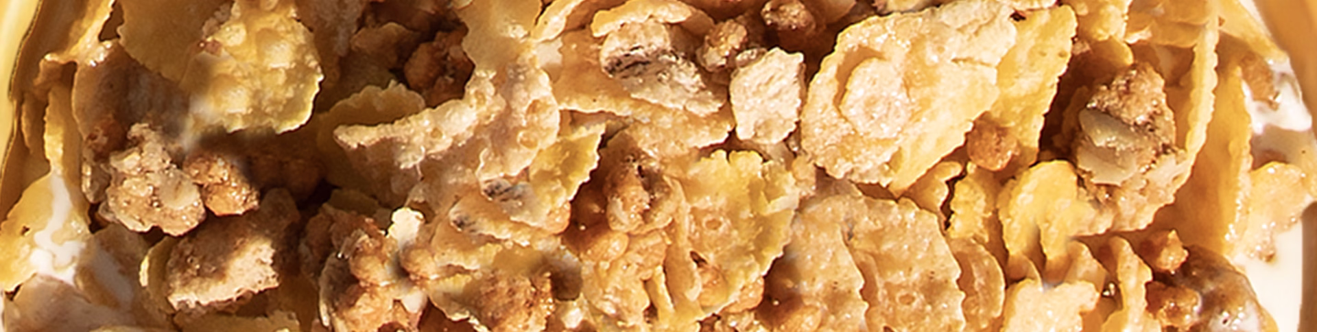 Honey Bunches of Oats Protein Honey Roasted cereal